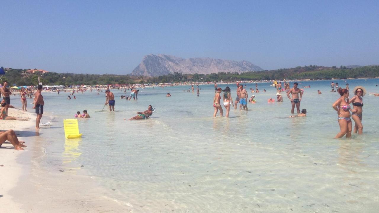 Mediterranean Sea Shell Pool House ブドーニ エクステリア 写真